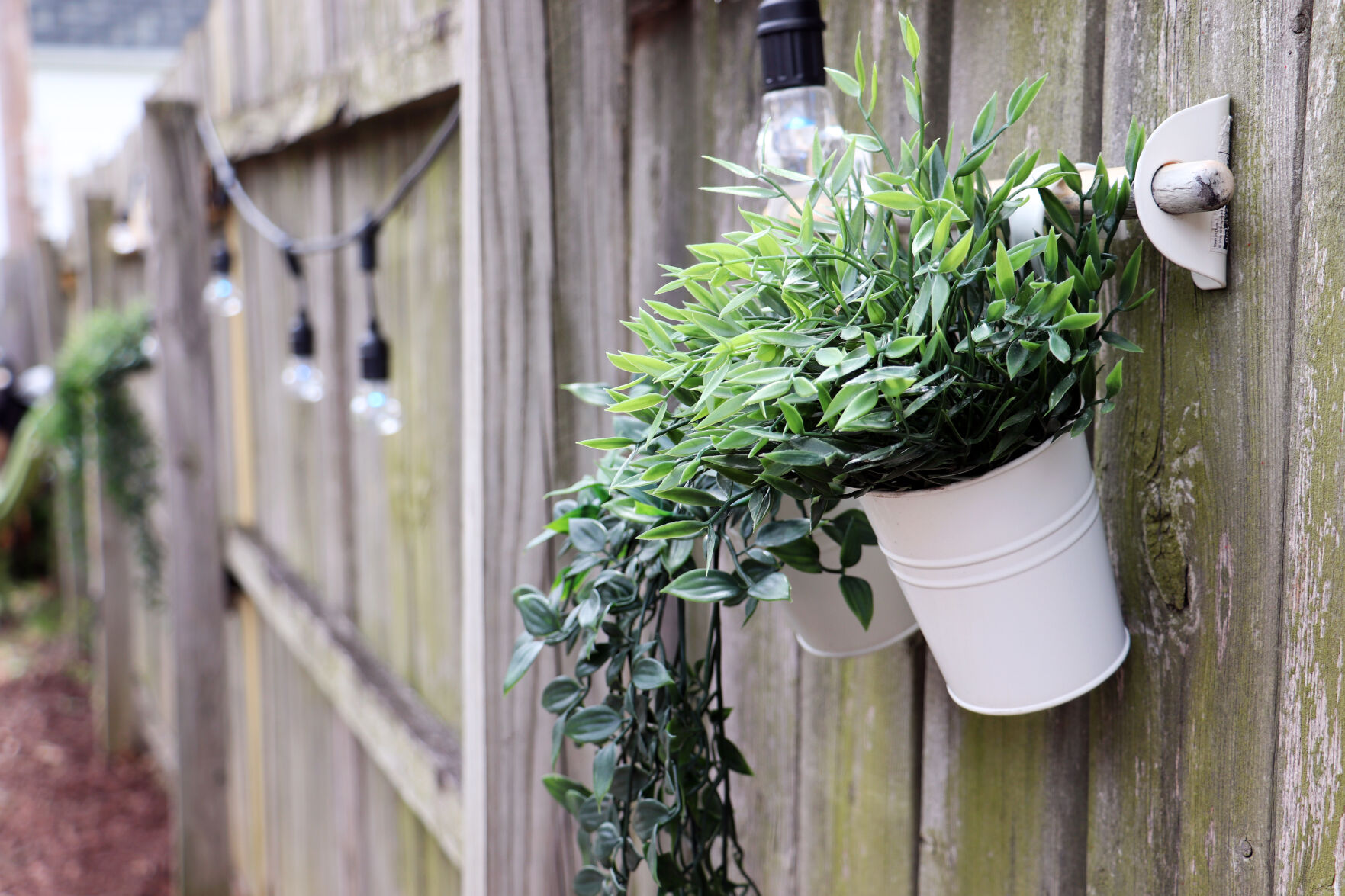 arkadin backlot plant